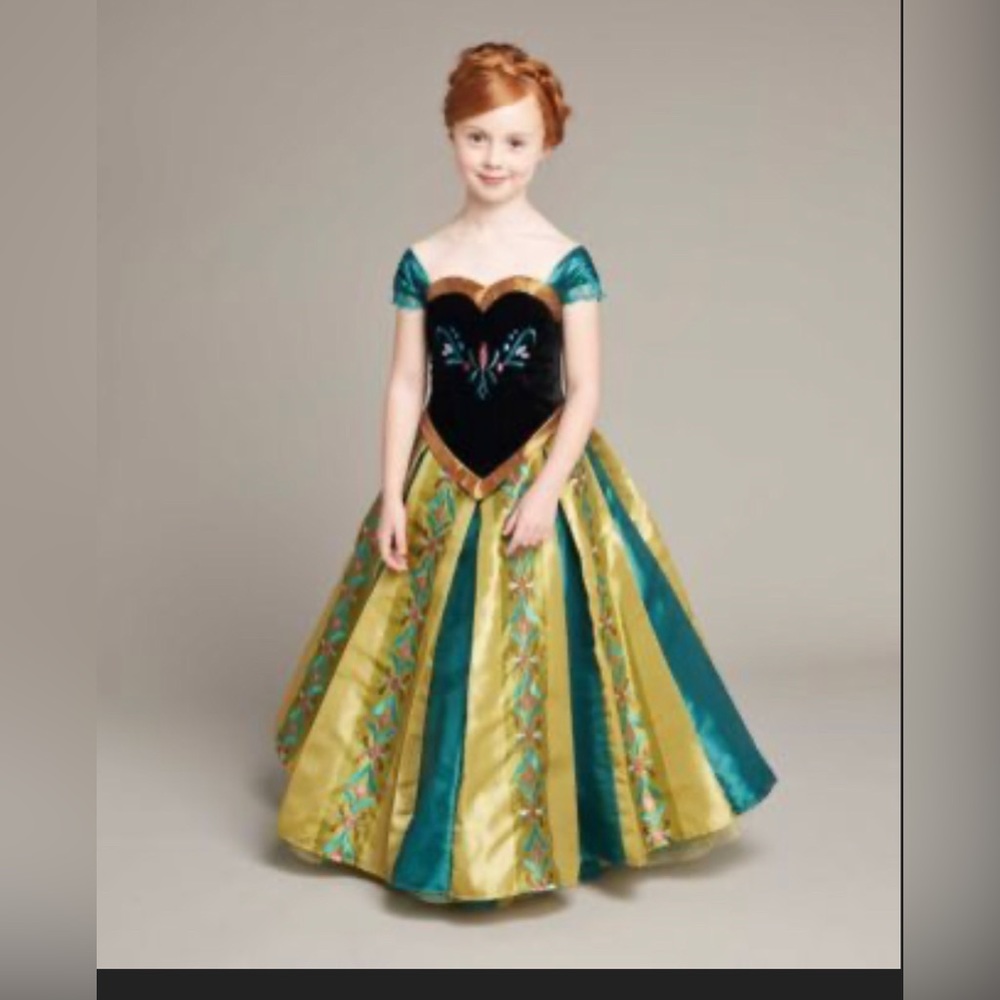 NEW Deluxe Disney Anna Chasing Fireflies Costume Medium Beautifully embroidered